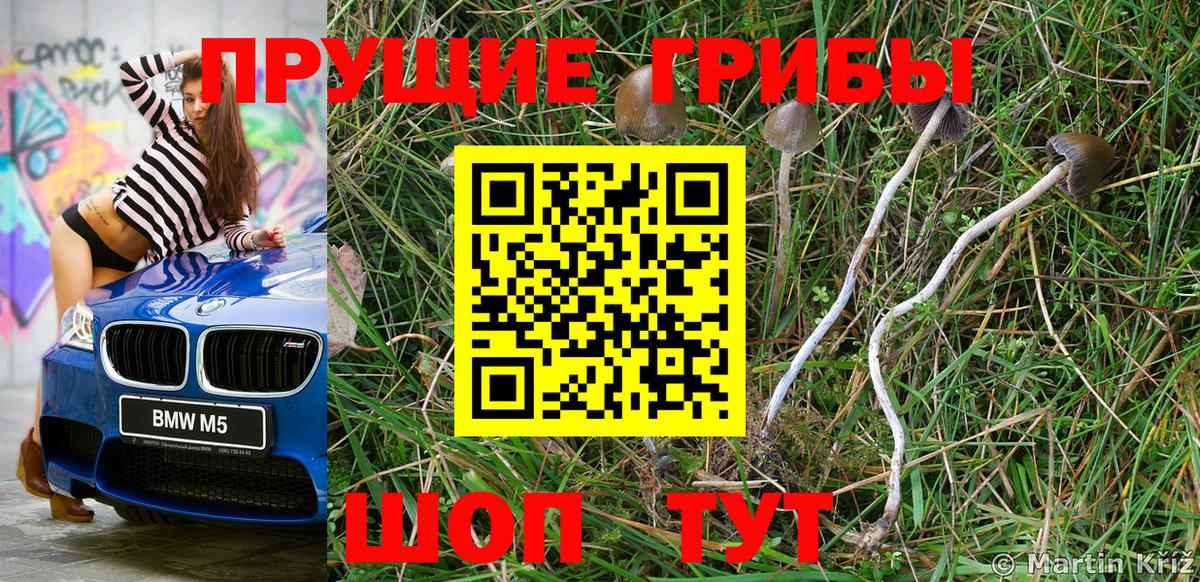 Галлюциногенные грибы MAGIC MUSHROOMS  Вход с VPN  где можно купить   Асбест 